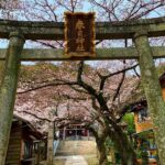 春日神社 (徳島市)