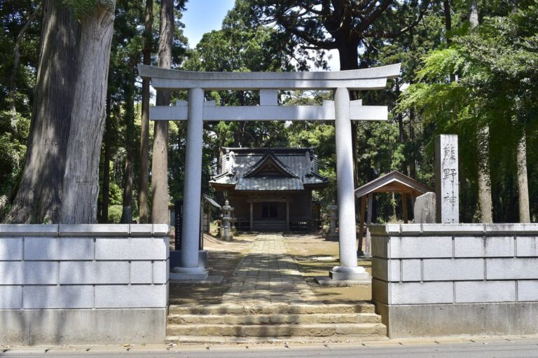 熊野神社 (匝瑳市)
