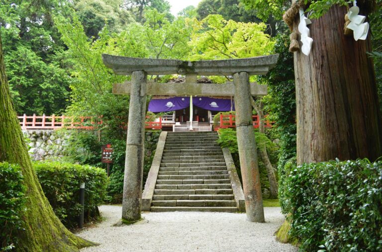 高鴨神社