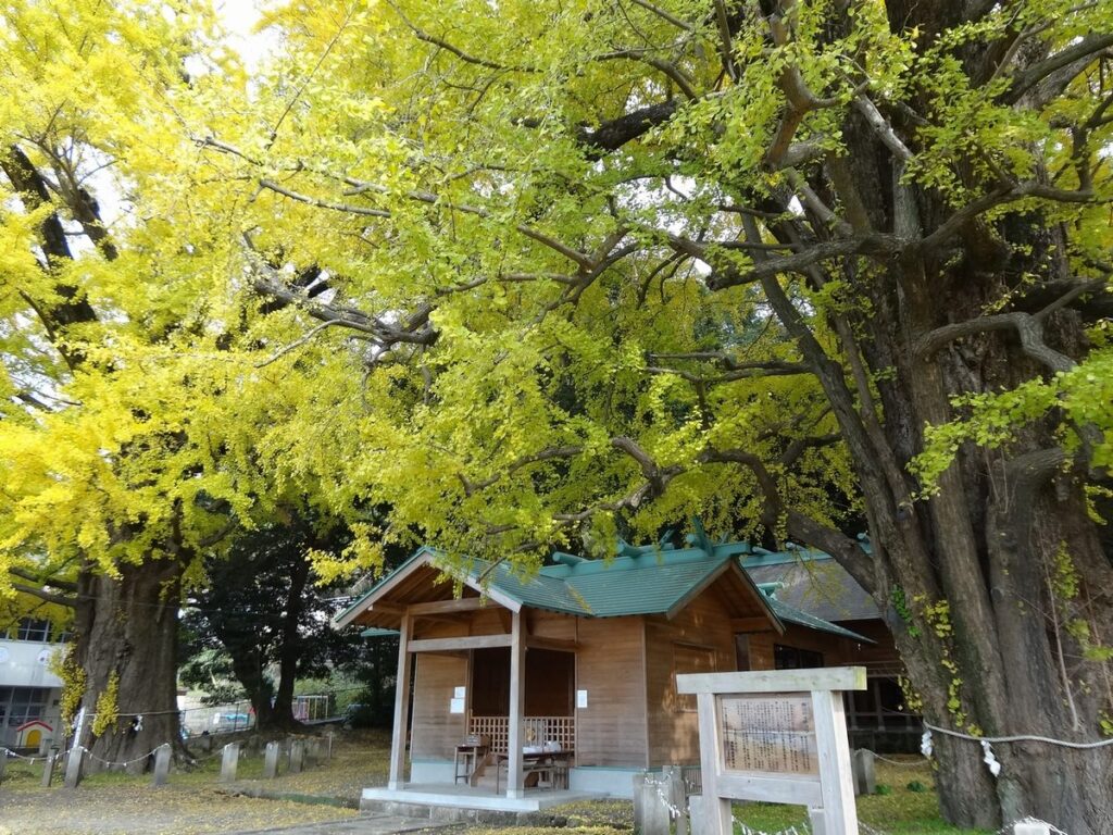 宮浦宮