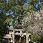 白角折神社