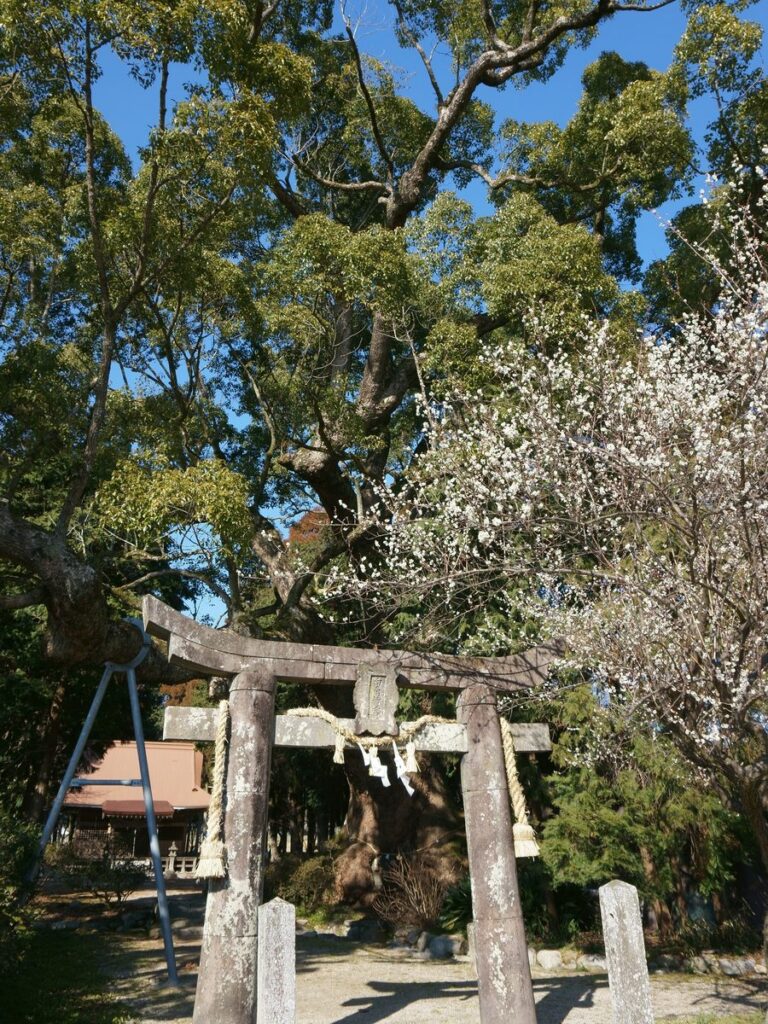 白角折神社