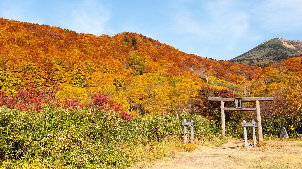 薬師神社