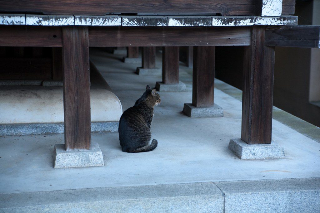 許麻神社