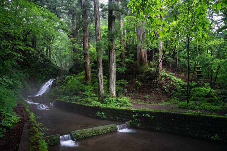 小林瀧尾神社