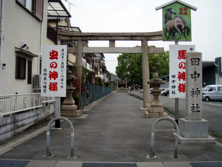 田中神社（田中神社）
